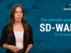 Ultimate Guide to SD-WAN for Businesses_720.mp4_snapshot_00.01.355