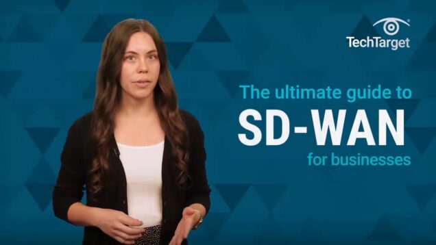 Ultimate Guide to SD-WAN for Businesses_720.mp4_snapshot_00.01.355