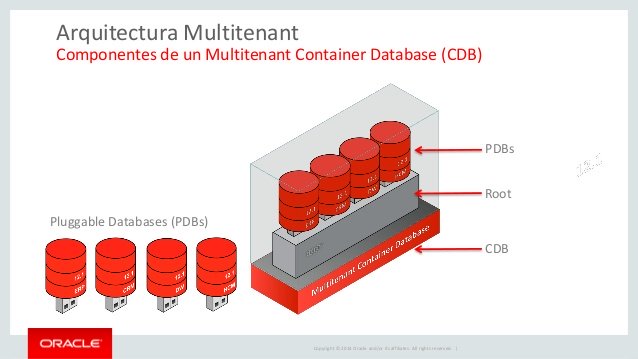 Oracle multitenant что это