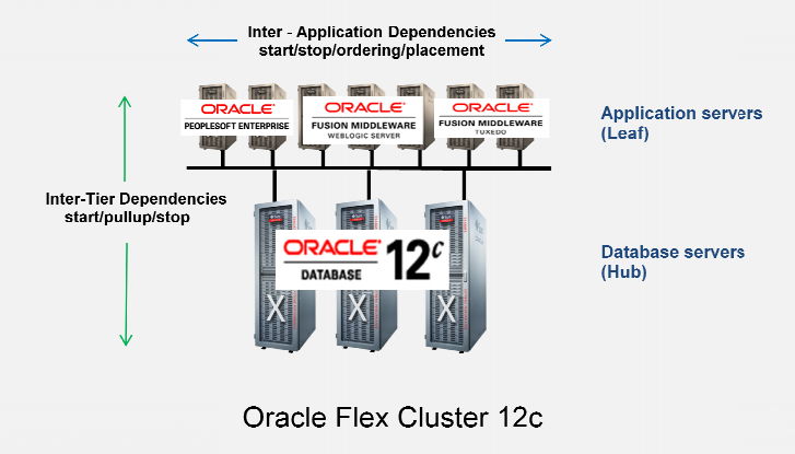 قابلیت های Oracle Clusterware