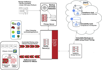 Veritas NetBackup 9.1