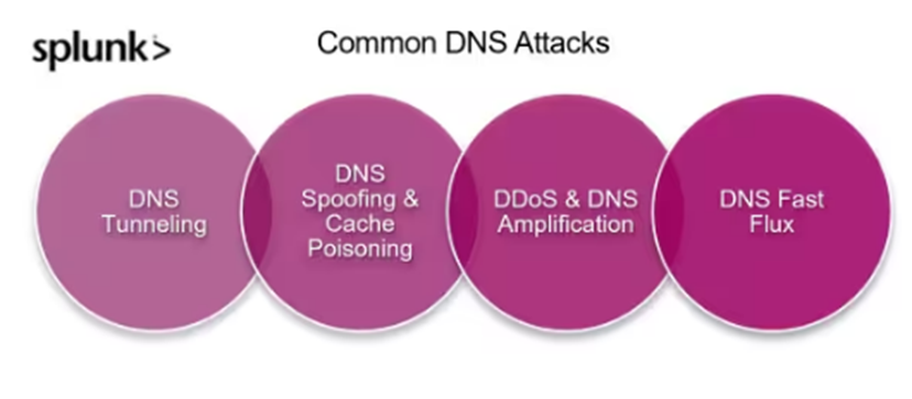 امنیت DNS